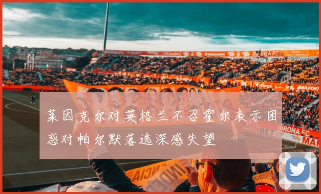莱因克尔对英格兰不召霍尔表示困惑对帕尔默落选深感失望