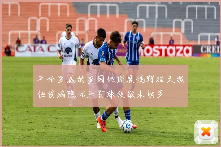 平价罗威的奎因坦斯展现野猫天赋但伤病隐忧和罚球致敬米切罗
